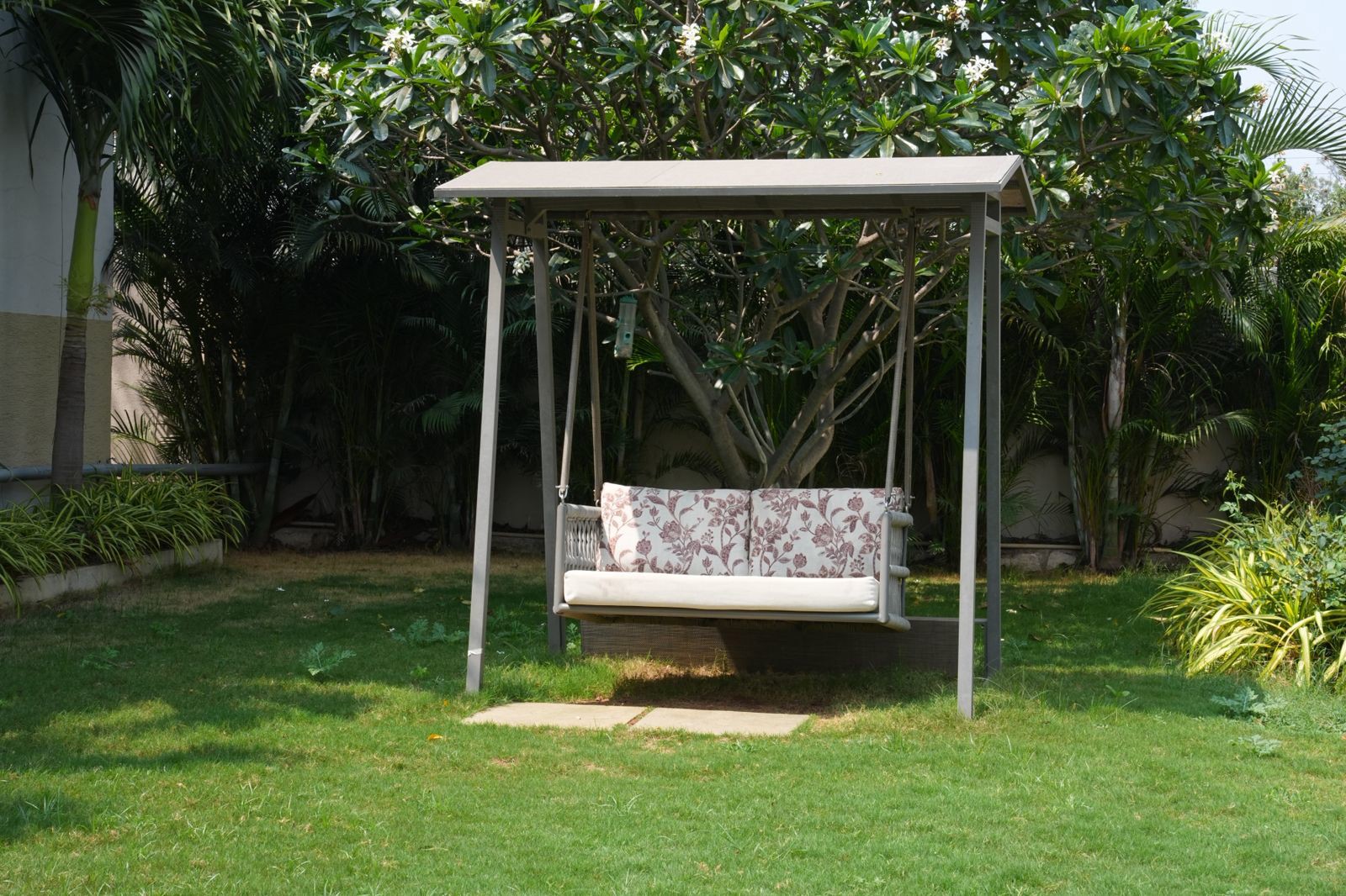 THE NEEM TREE